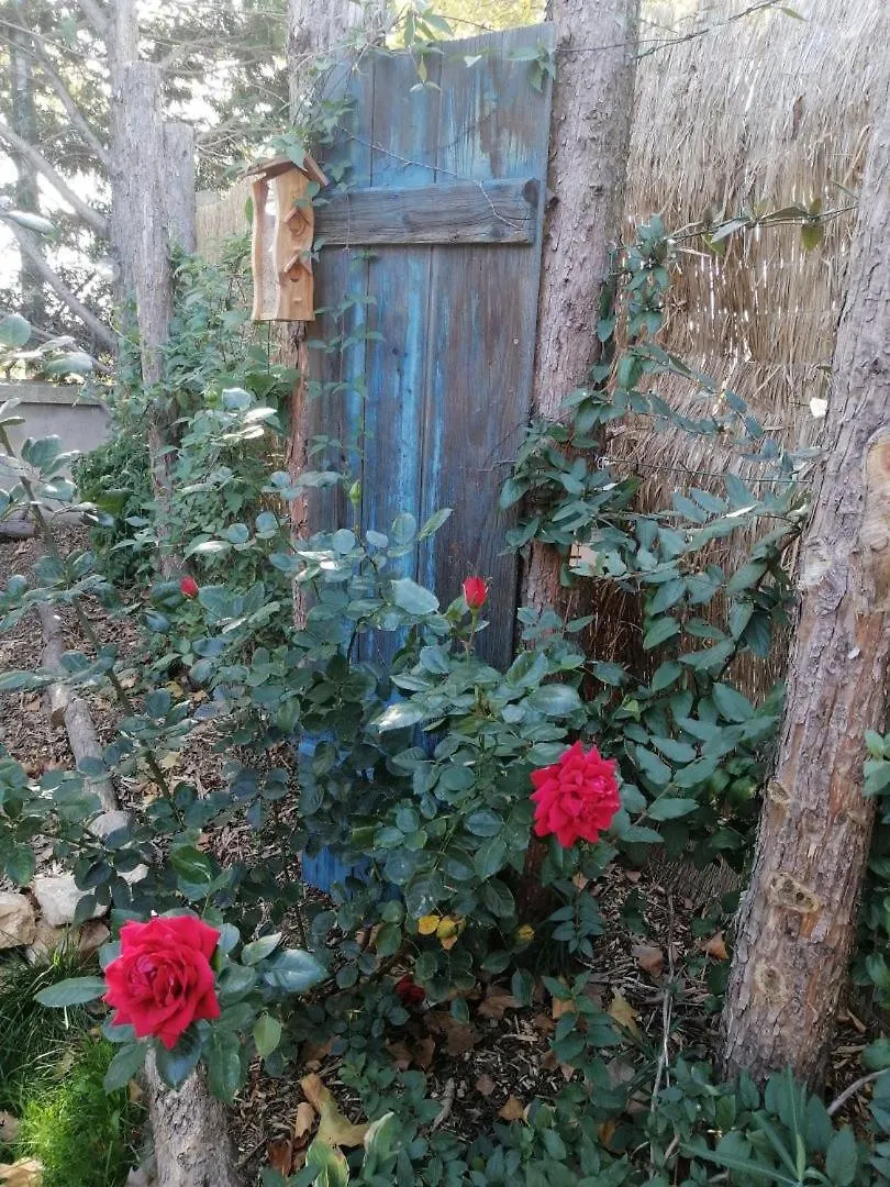 L'Embellie Un Gite Tout Confort Et Cocooning Villefranche-sur-Saône 0*,